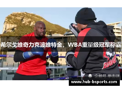 希尔戈维奇力克波维特金,WBA重量级冠军称霸 希尔戈维奇力克波维特金,WBA重量级冠军称霸