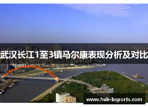 武汉长江1至3镇马尔康表现分析及对比